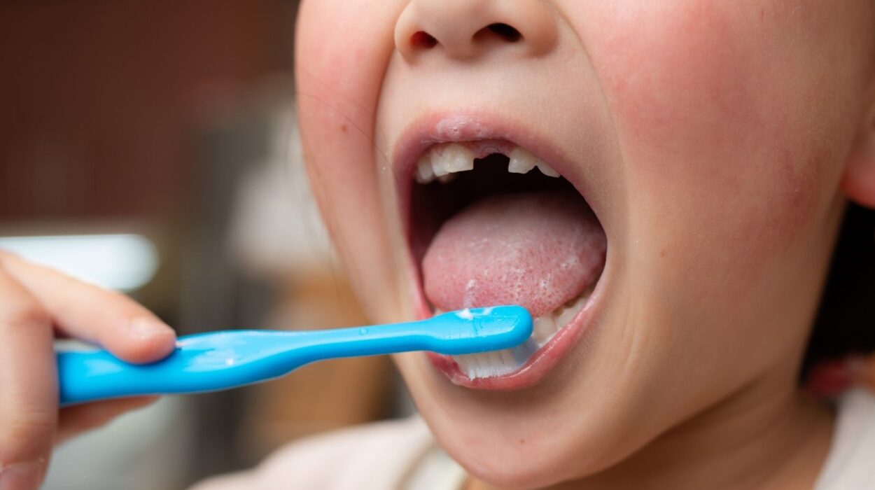 Çocuklarda doğru diş fırçalama alışkanlığını gösteren eğitici görsel.