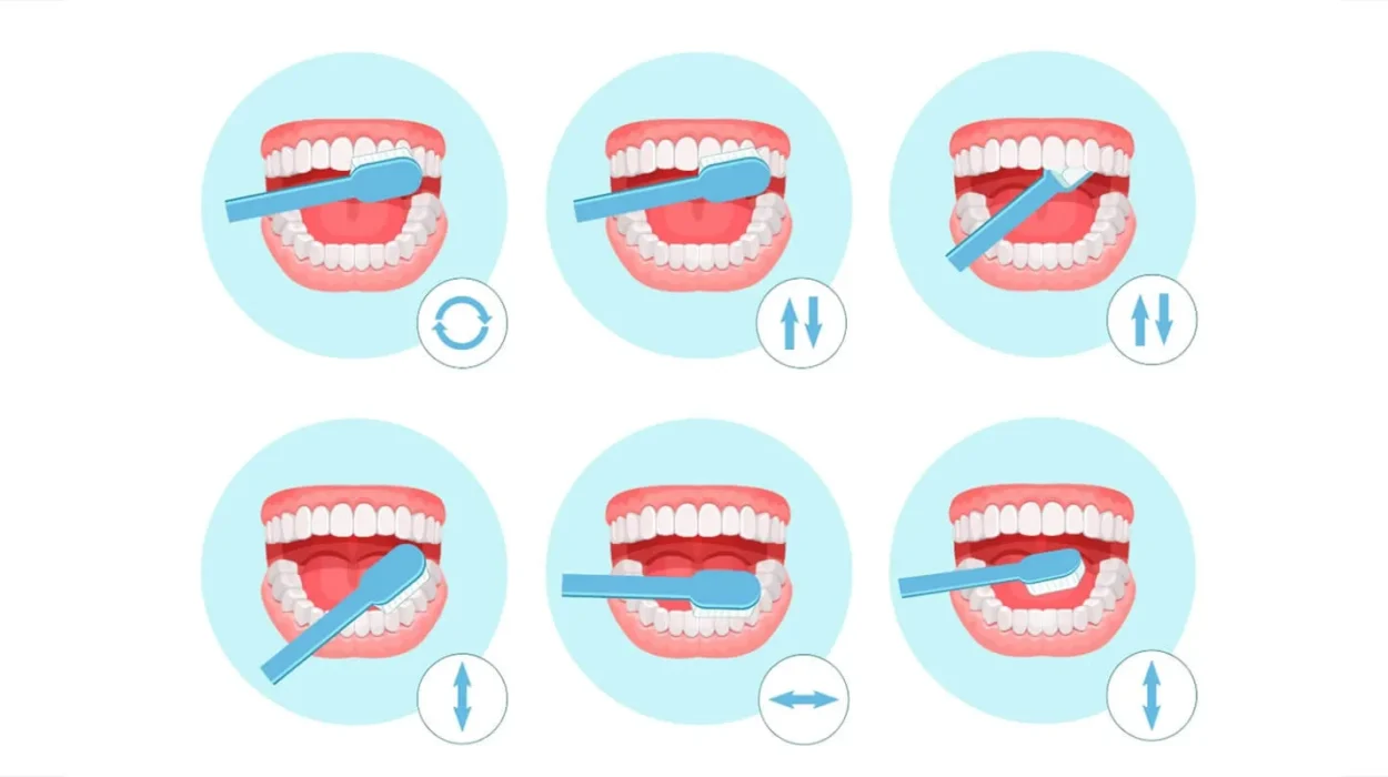 Doğru diş fırçalama ve diş ipi kullanımının diş ve diş eti sağlığı üzerindeki etkisini gösteren görsel.